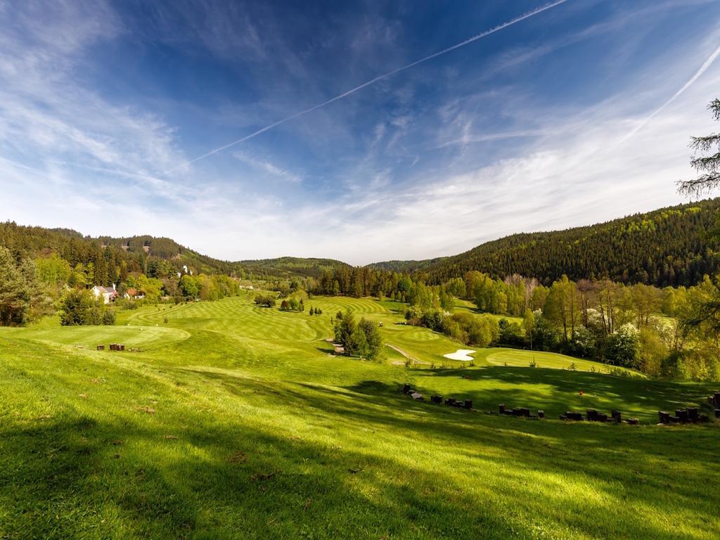 Speciální nabídka – dvoulůžkový pokoj Superior s manželskou postelí, balkonem, výhledem na les a wellness balíčkem