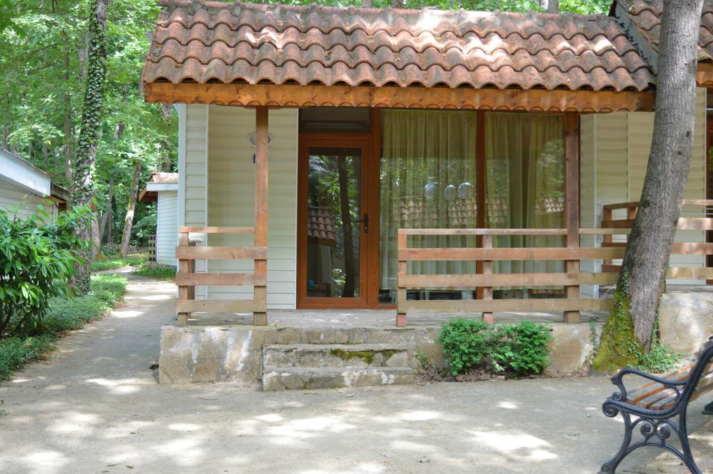 One-Bedroom House,174541971:JPEG