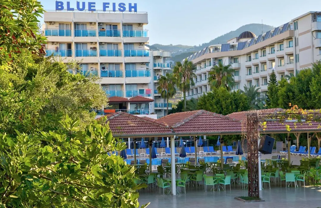 Blue Fish Hotel All Inclusive-1