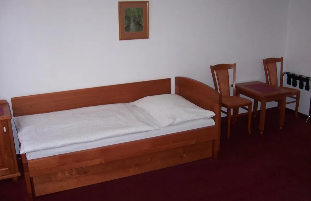 Hotel Pegas Brno-1