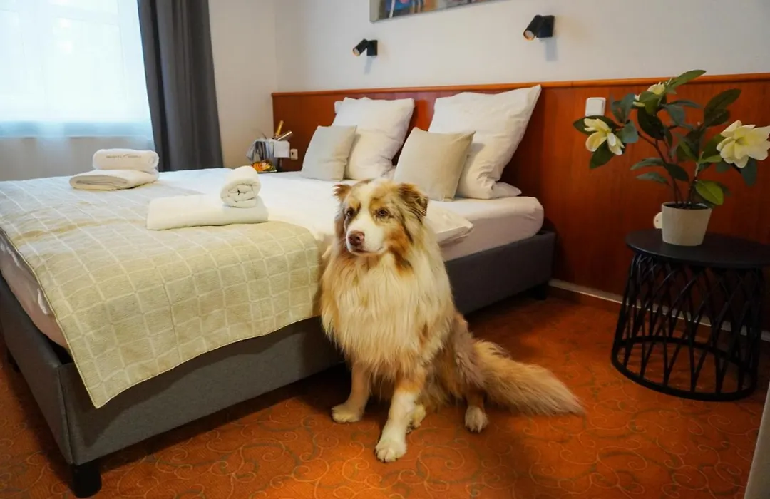 Hotel Sněžka-1
