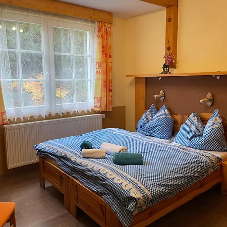 Pension Švýcarský dům Špindlerův Mlýn-3