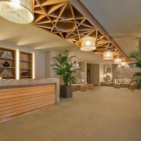 Barut Hemera-3
