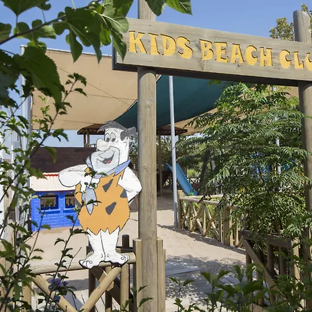 Trendy Verbena Beach-3