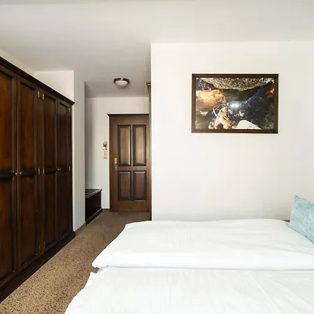 Aplend Wellness Hotel Borovica-3