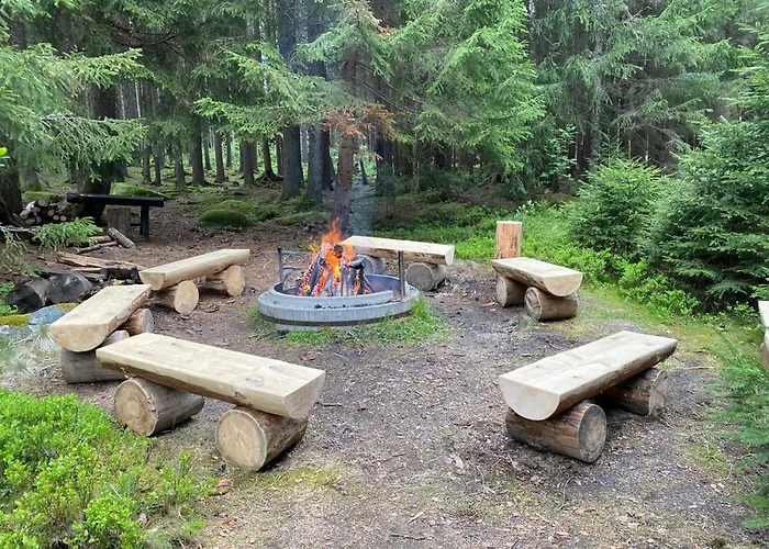 Penzion U Zlatého srnce Srní