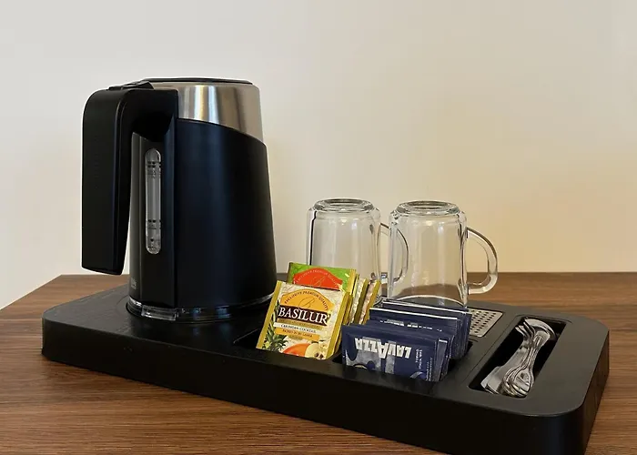 Spa Hotel Villa Smetana Karlovy Vary