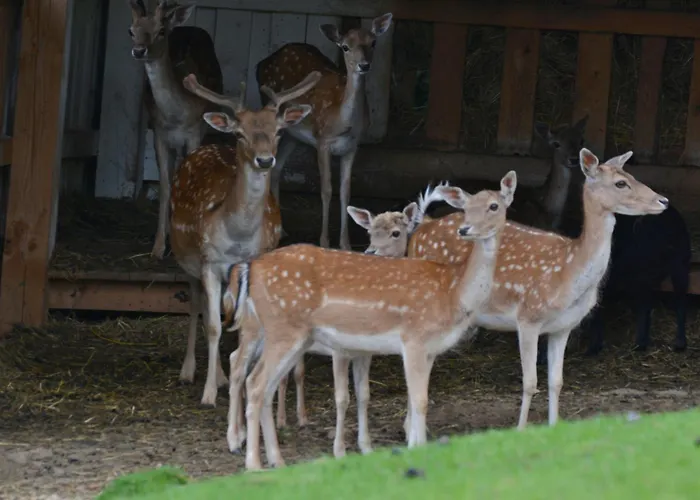 Pension Krakonoš Špindlerŭv Mlýn