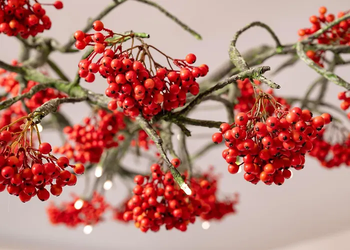 Herbarium Boutique Hotel Olomouc