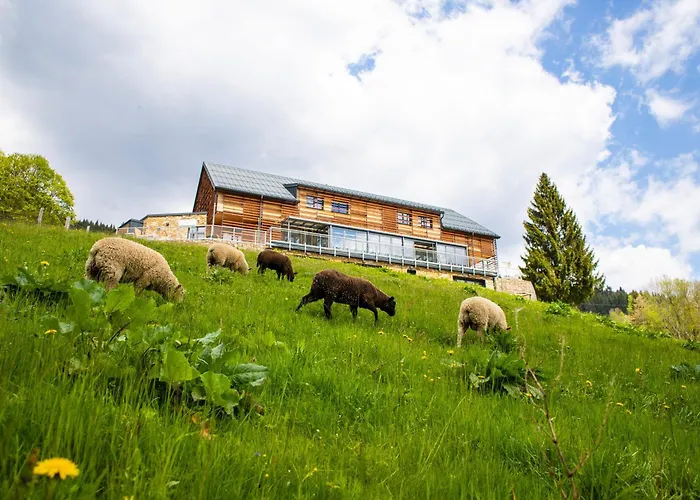 Amenity Hotel&Resort Špindlerův Mlýn