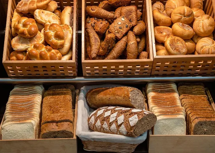 Plaza Inn Amedia Wien