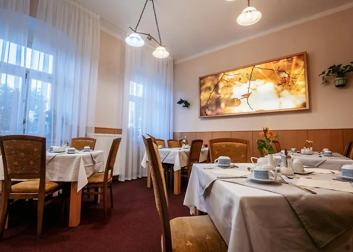 Hotel Paris Mariánské Lázně