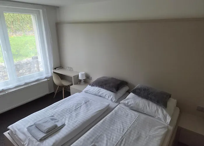 Hotel Rakovec Brno