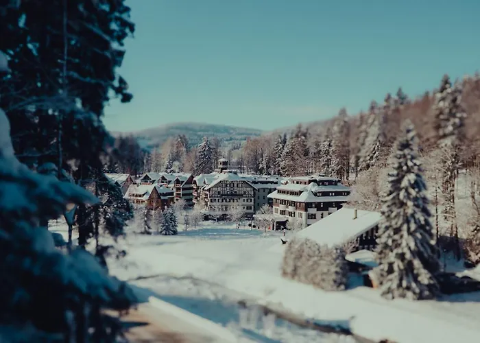 Hotel Savoy Špindlerův Mlýn