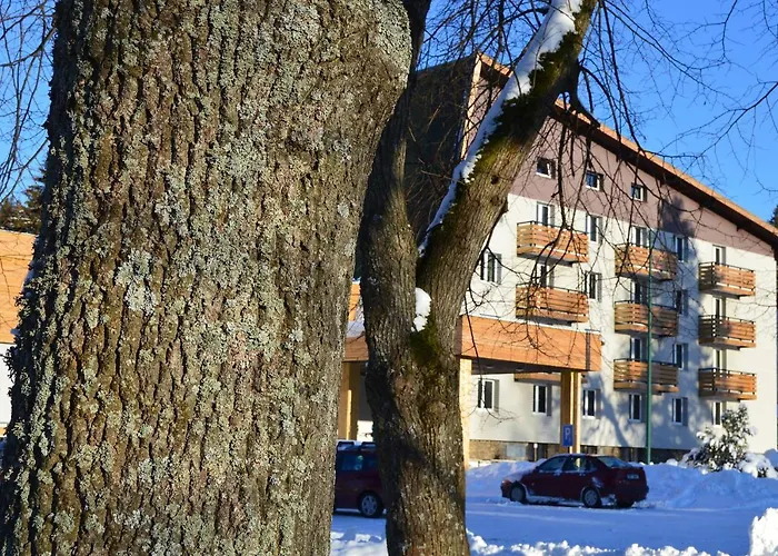 Hotel Srni Depandance - Sumava